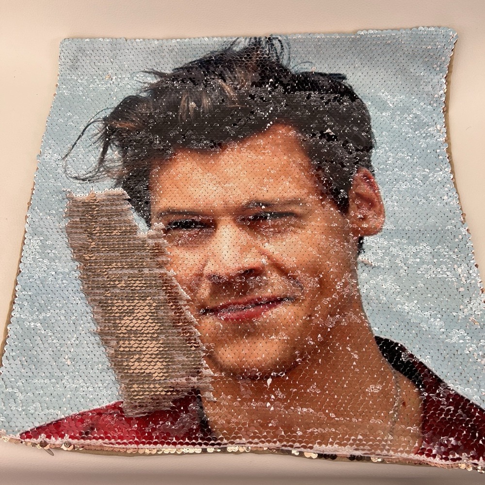 NWOT HARRY STYLES Reversible Flip Sequin Zippered Pillowcase Gold & Tan 15"x15"